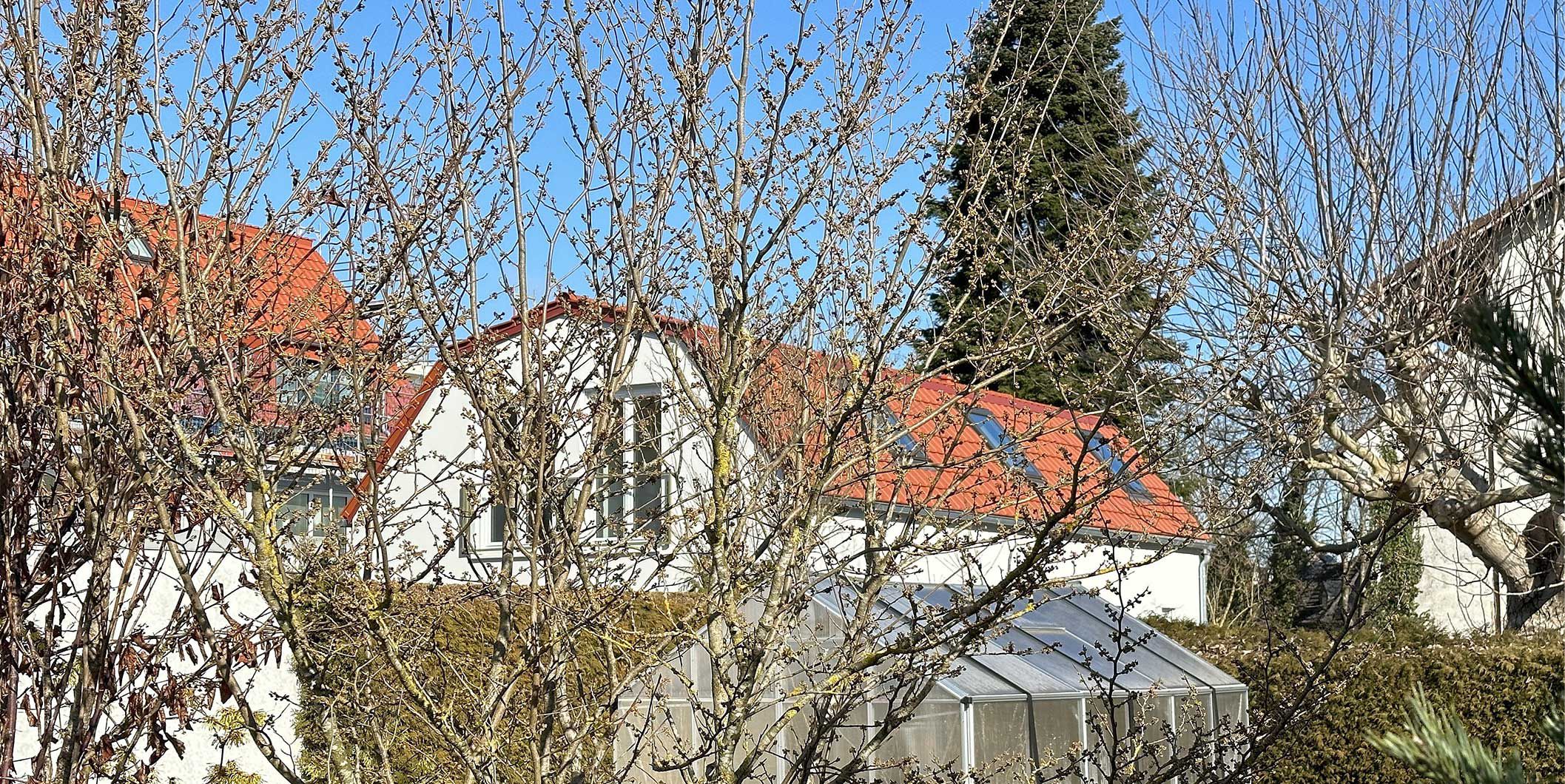 Bild zeigt Einfamilienhaus